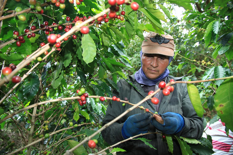 Cafe de Colombia