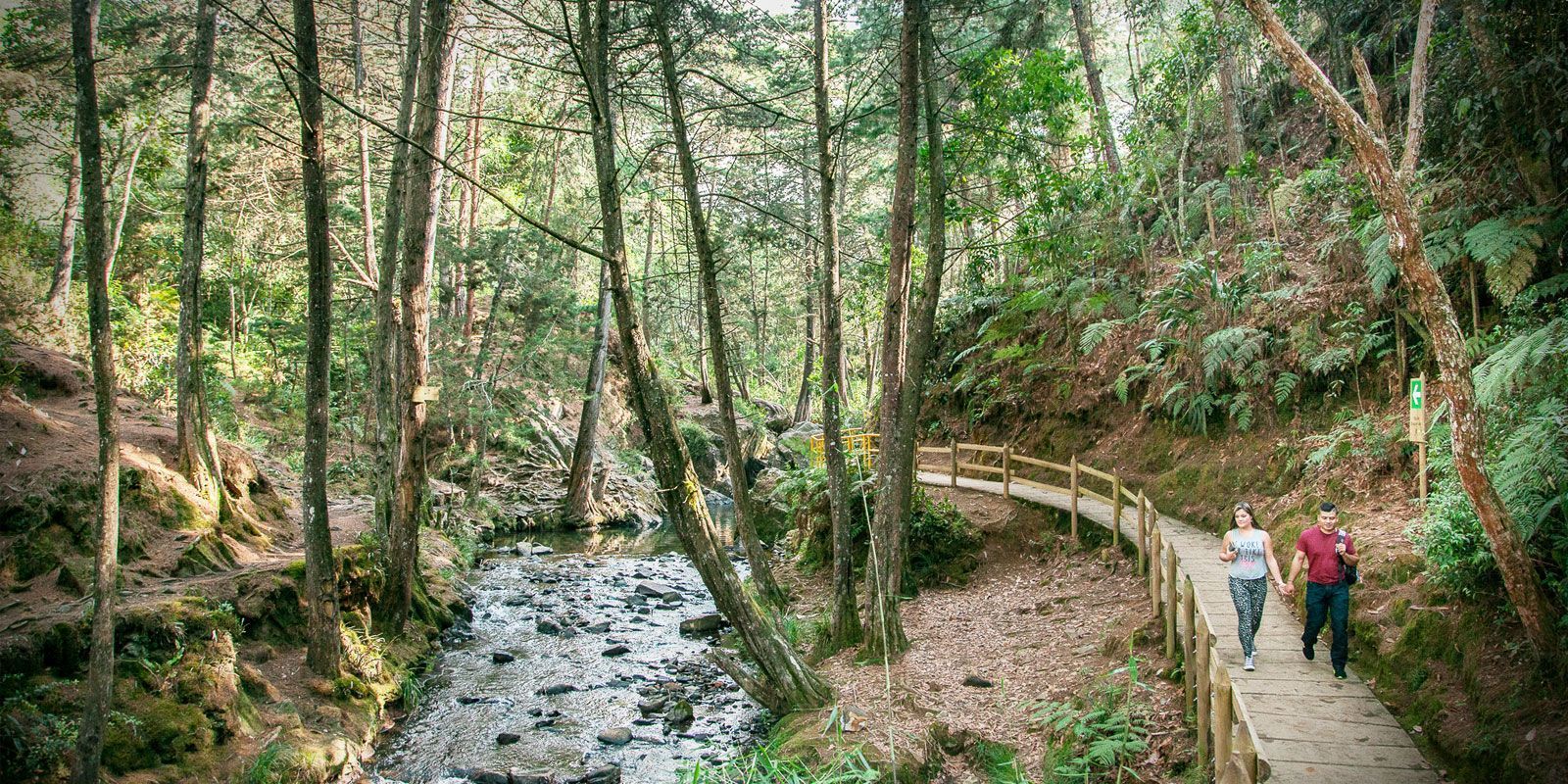 Parque Arví, finalista en la categoría "Destino" del premio Tourism for Tomorrow