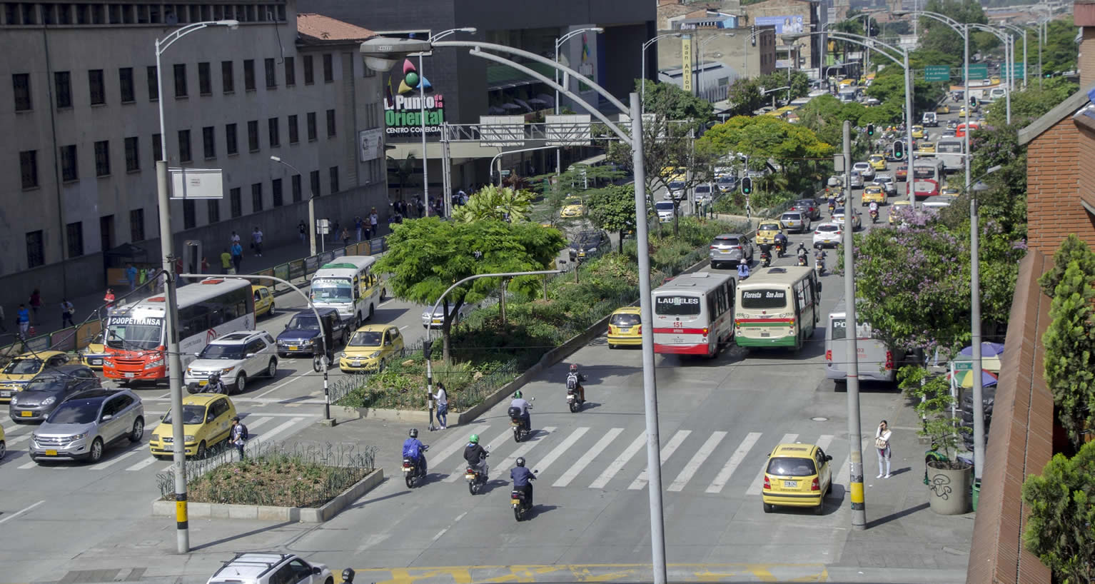 avances de la ciudad frente a la acción climática