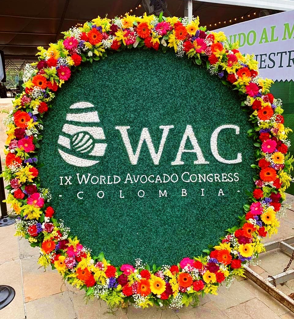 wac-ci-medellin