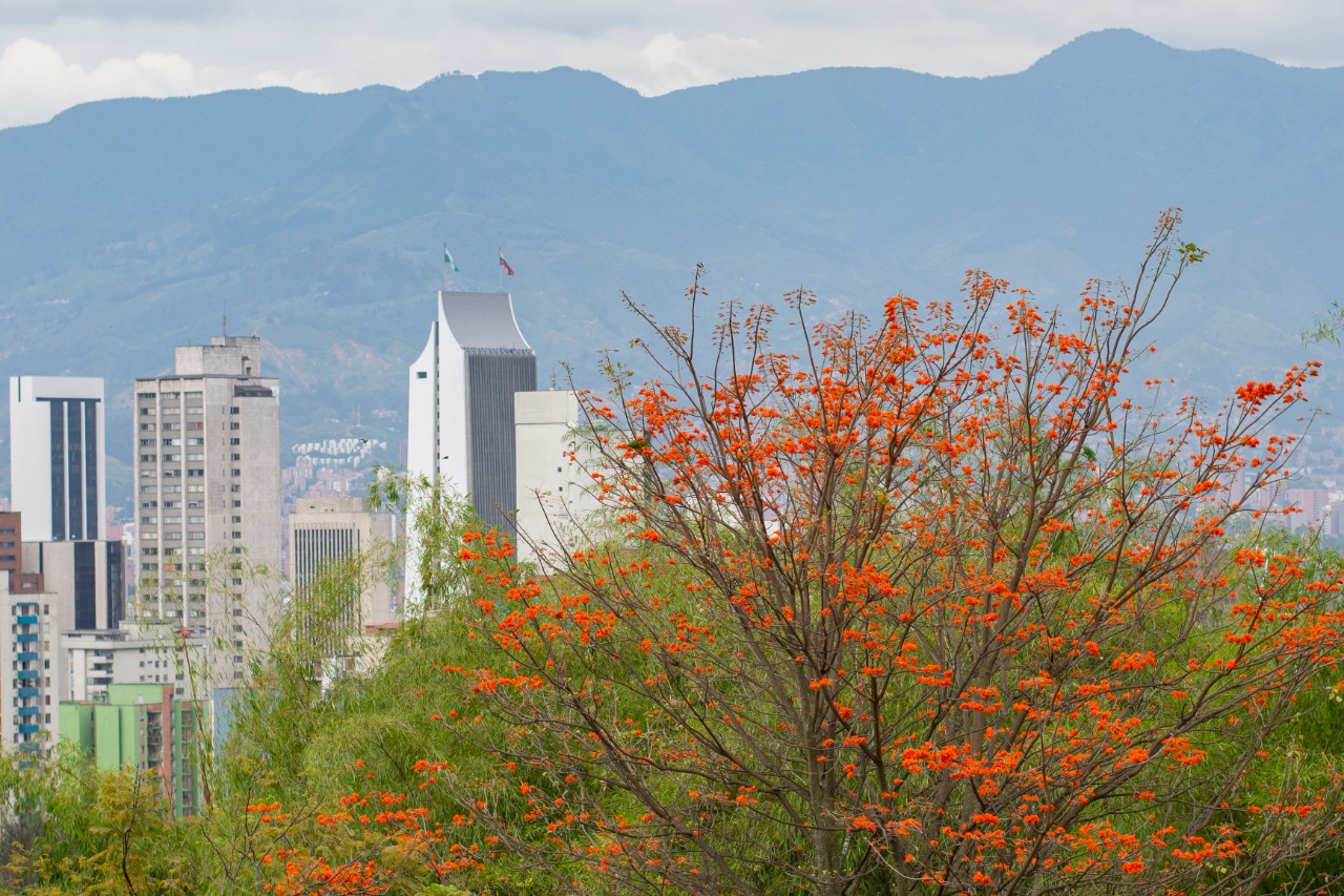 El Metro de la 80 y la red de ciclorrutas recibirán asesoría del Reino Unido para reducir gases efecto invernadero